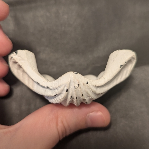 Seashell Knob - Picture 4 of 8